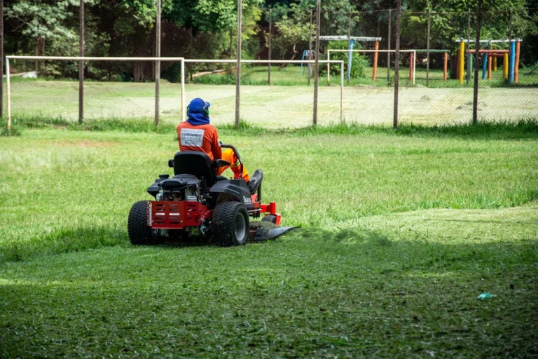 jardineria profesional en estados unidos