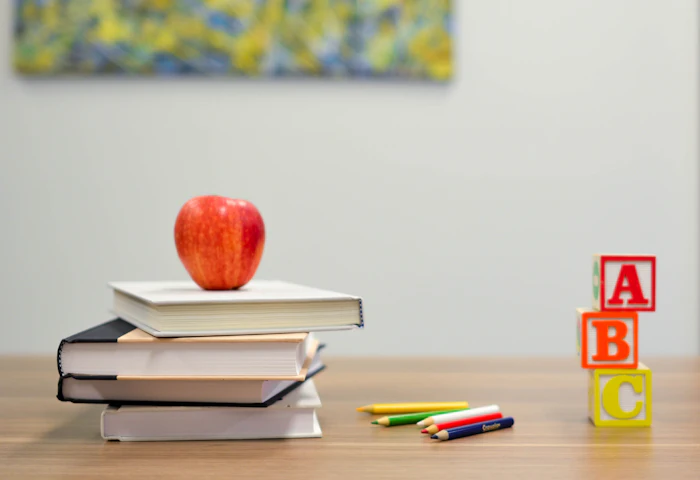 Universidad, Community College y becas