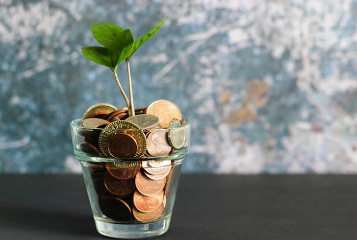 Ahorro e inversión