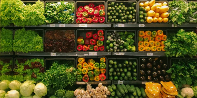 Food stamps SNAP para inmigrantes en USA